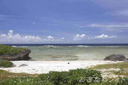 タカタ＆パイヌッジ