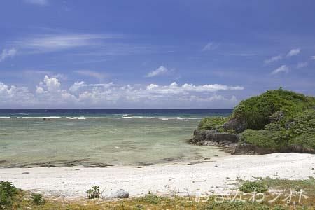 タカタ＆パイヌッジ