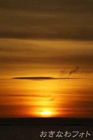 ふるさと海浜公園