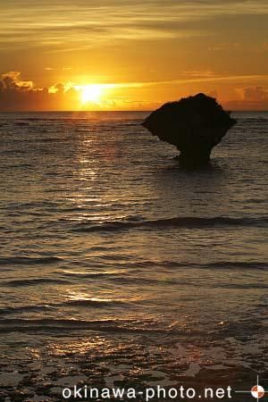 渡具知海浜公園