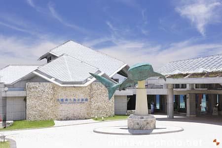 美ら海水族館
