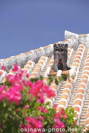 シーサーと赤瓦の家