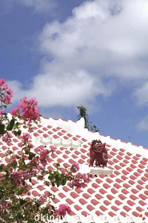 シーサーと赤瓦の家