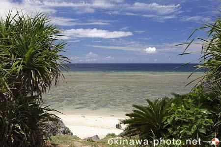 島仲浜
