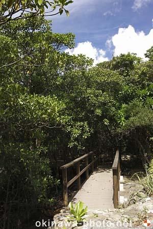 大見謝ロードパーク