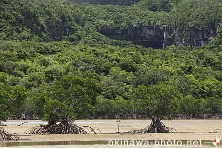 ピナイサーラの滝