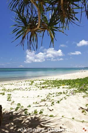 サンセットビーチ