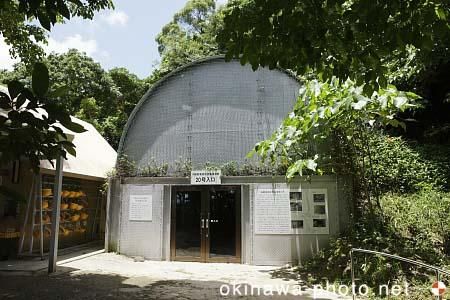 沖縄陸軍病院南風原壕群跡