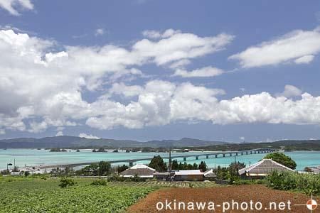 古宇利大橋を望む