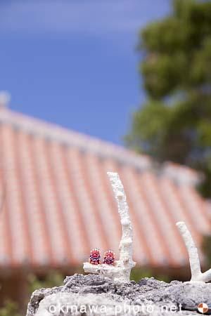 シーサーと赤瓦の家