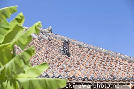 シーサーと赤瓦の家