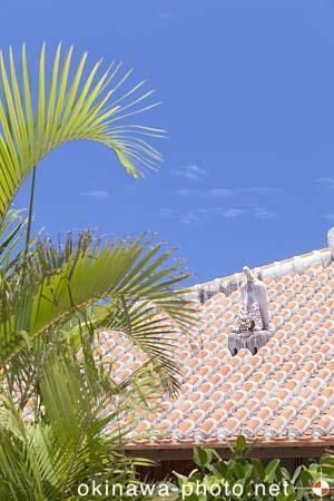 シーサーと赤瓦の家