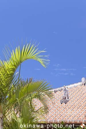 シーサーと赤瓦の家