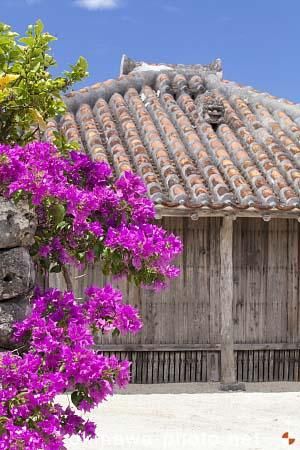 シーサーと赤瓦の家