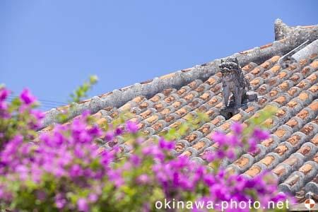 シーサーと赤瓦の家