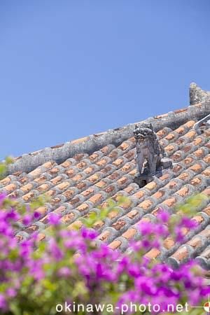 シーサーと赤瓦の家