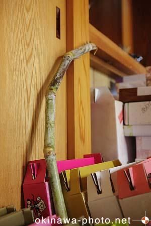 グーサンウージ