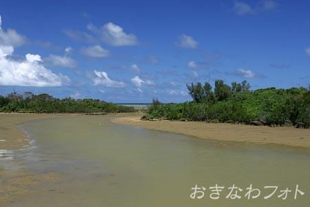 島尻のマングローブ