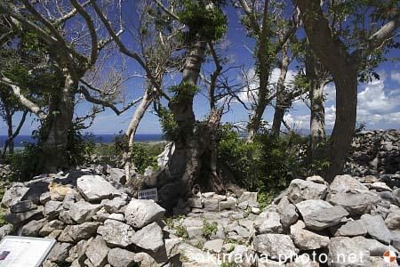 テンチジアマチジ