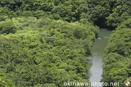 滝上からの眺め