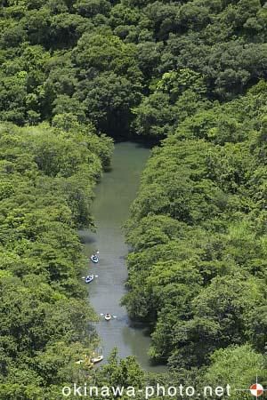 滝上からの眺め