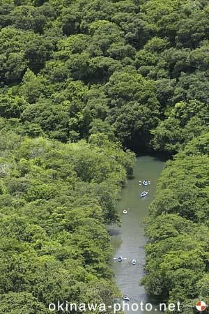 滝上からの眺め