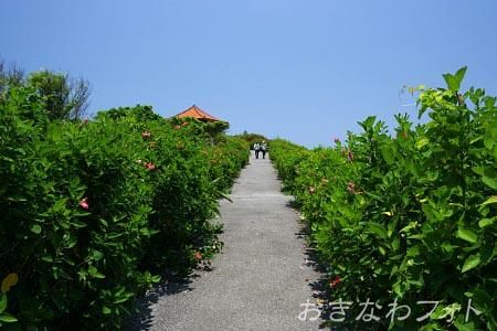 玉取崎展望台