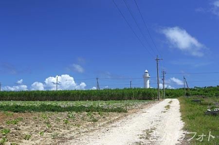 サトウキビ畑と道