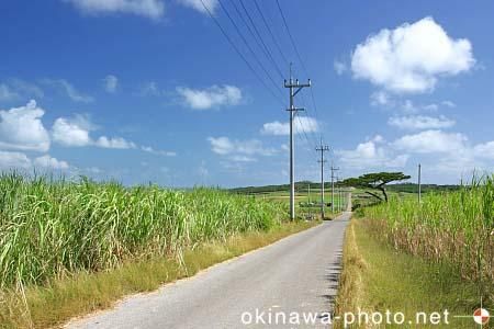 シュガーロード