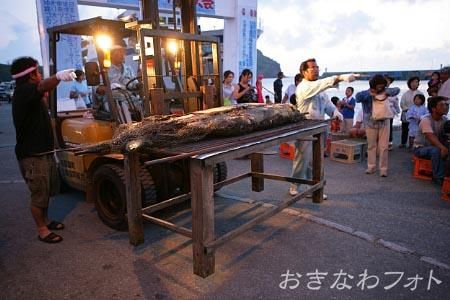 国際カジキ祭り