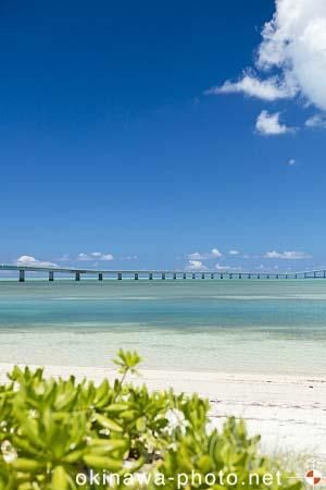 伊良部大橋