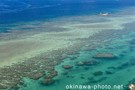 フナウサギバナタから