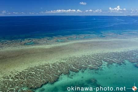 フナウサギバナタから