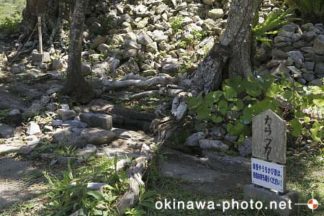 カラウカー（今帰仁城跡内）
