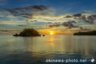 まるまぼんさん